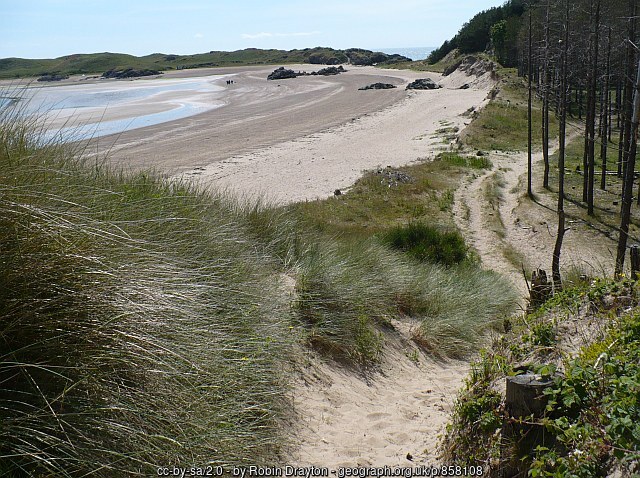 The sandy path leading through the dunes toward Llanddwyn Beach, marram grass on either side and the sea visible ahead.